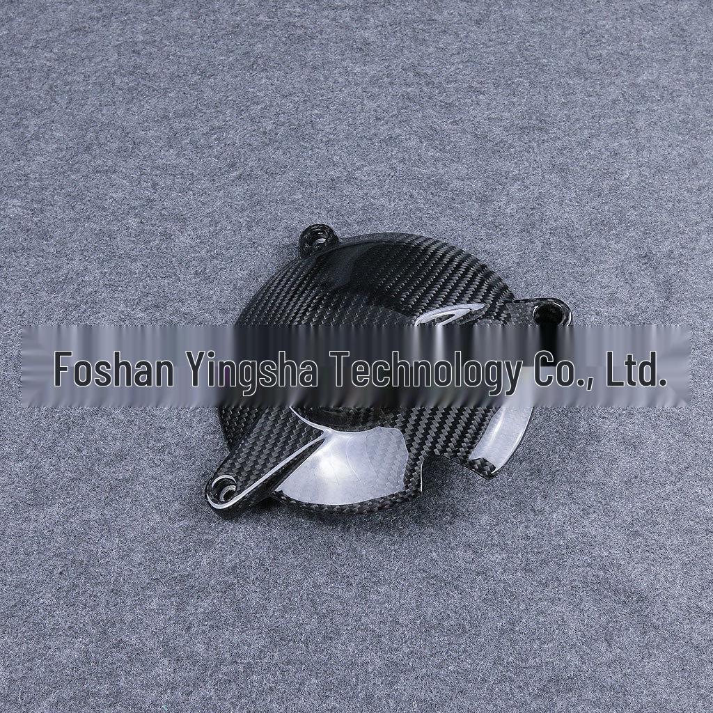 2015-2018 BMW S1000RR Carbon Fiber Engine Cover