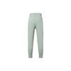 New Nike Knitted Sweatpants Women's Gray DV9462-330
