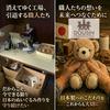 Doshin Made Japan Teddy Bear Plush Toy Fluffy S 21cm Brown Color