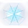 Nan Qiao Automatic Transparent Daisy Foldable Umbrella