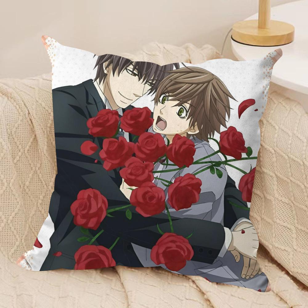 

The worlds first love Cushion Cover Soft Plush Fabric DoubleSided Printed Sofa Cushion Cover for All Seasons Home Decor Gift 30x30cm