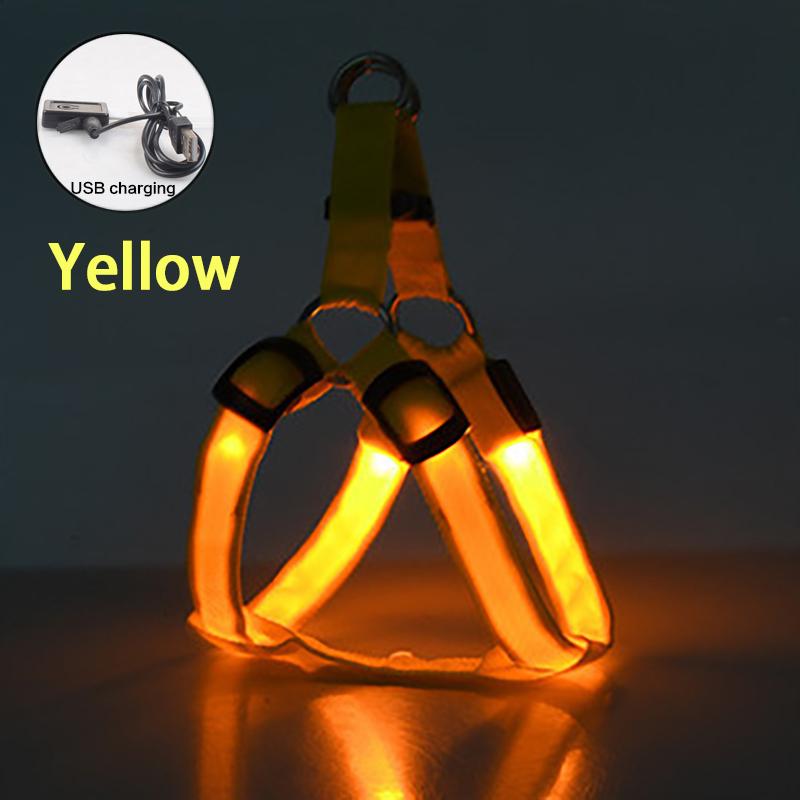 Collier LED SFP aste par USB réglable pour chien, sécurité nocturne clignotante, pas de nervures, petits et moyens chiens, animaux de compagnie XS Bust 30-35cm