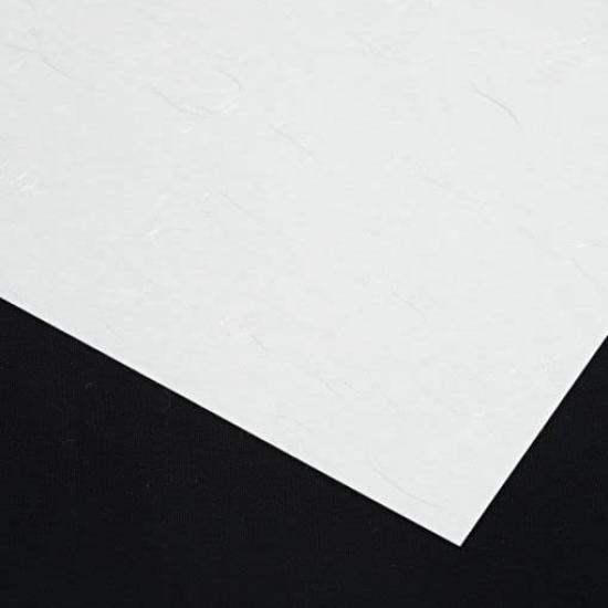 Copy Japanese Printed Japanese Food Iyo Food Silver 50 Sheets Paper, Paper, Paper, Menu, Paper, Washi, Dragon, A4,