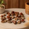 Small Brecciated Jasper Tumbled Stones African - 24 Pieces