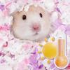 Animal Bedding 450g Wood Chips Odor Control Bunny Bedding For Ferret Bunny Gerbil Hedgehog Reptile Bird Pet Animal Sleeping