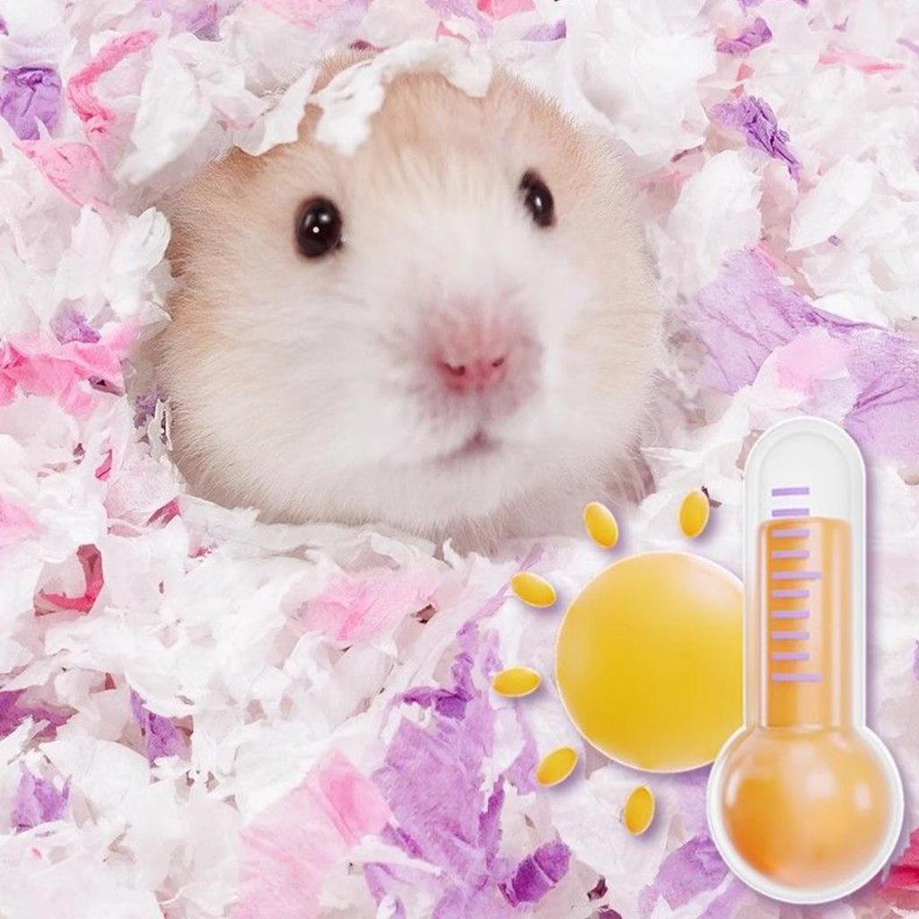 Animal Bedding 450g Wood Chips Odor Control Bunny Bedding For Ferret Bunny Gerbil Hedgehog Reptile Bird Pet Animal Sleeping