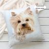 Personalized Double Sided Print Pet Photo Pillow Soft Polyester No Fuzz 45x45cm Kawaii Pet Lover Decorative Cushion for Sofa