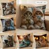 Cute Cat Holding Phone Cushion Cover Silky Short Plush Invisible Zipper Dustproof Sofa Pillow Case for Home Decor