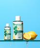 Dentiste Daily Refreshing Oral Rinse 500ml X 6