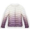 Light and gradual change down jacket women's short new fashion duck down versatile slim stand-up collar jacket