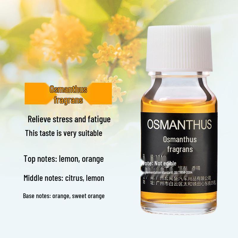 10ML Car Aromatherapy Refill: Creative Essential Oil Deodorant Ornament