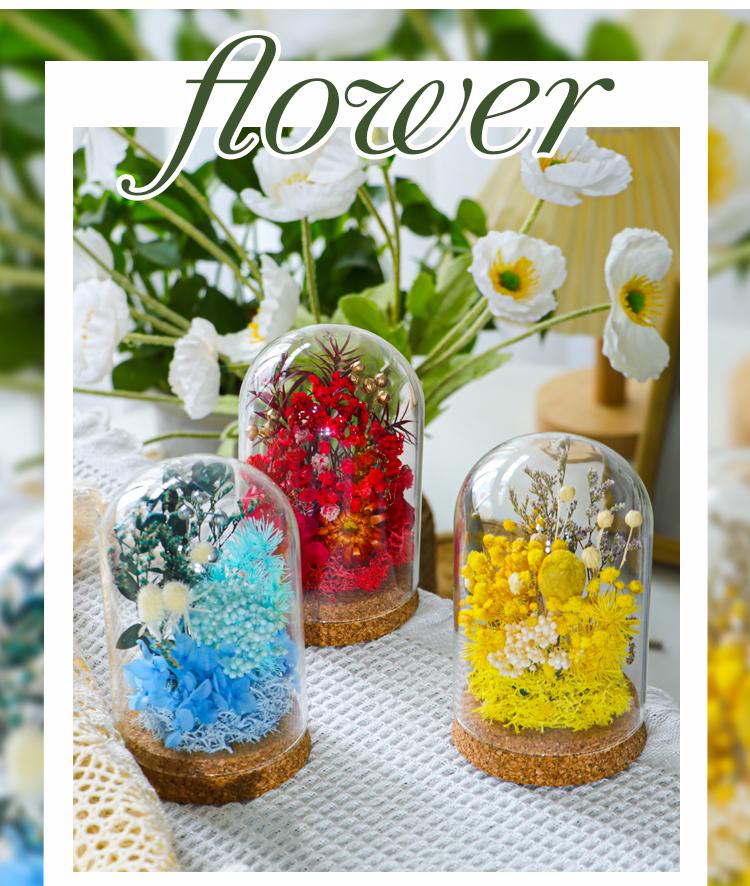 Preserved Flower Glass Dome DIY Kit for Handmade Decoration and Gifts