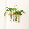 1pc Plant Propagation Tubes, 1/2/3 Tiered Wall Hanging Plant Terrarium with Wooden Stand Mini Test Tube Flower Vase Glass Planter for Hydroponic