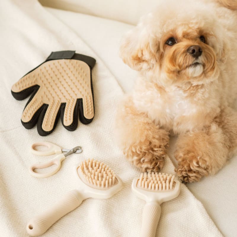 [Animale de companie] Pieptene de masaj mic