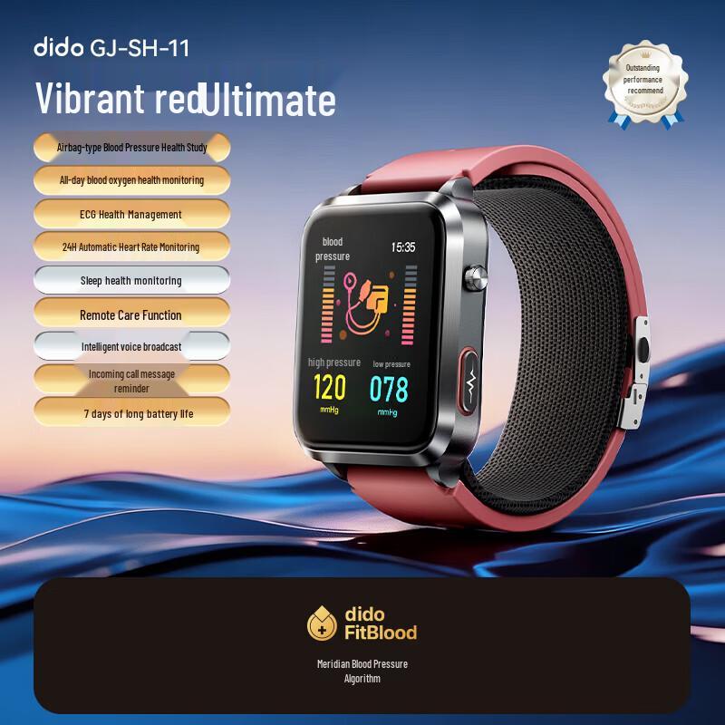 Dido Smart Health Monitoring Watch with ECG & Blood Pressure (CN version)