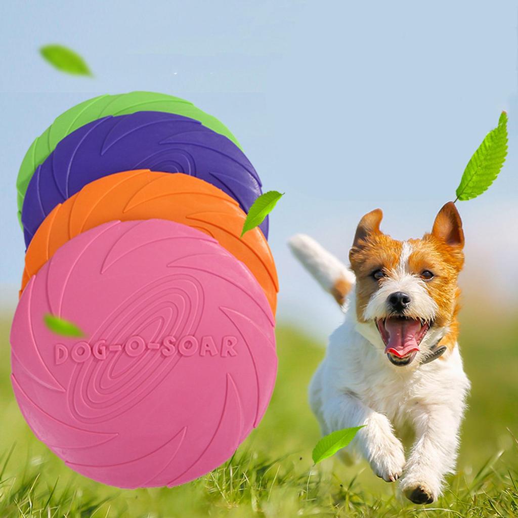dog proof toys