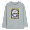 Boys Mountain Logo T-Shirt