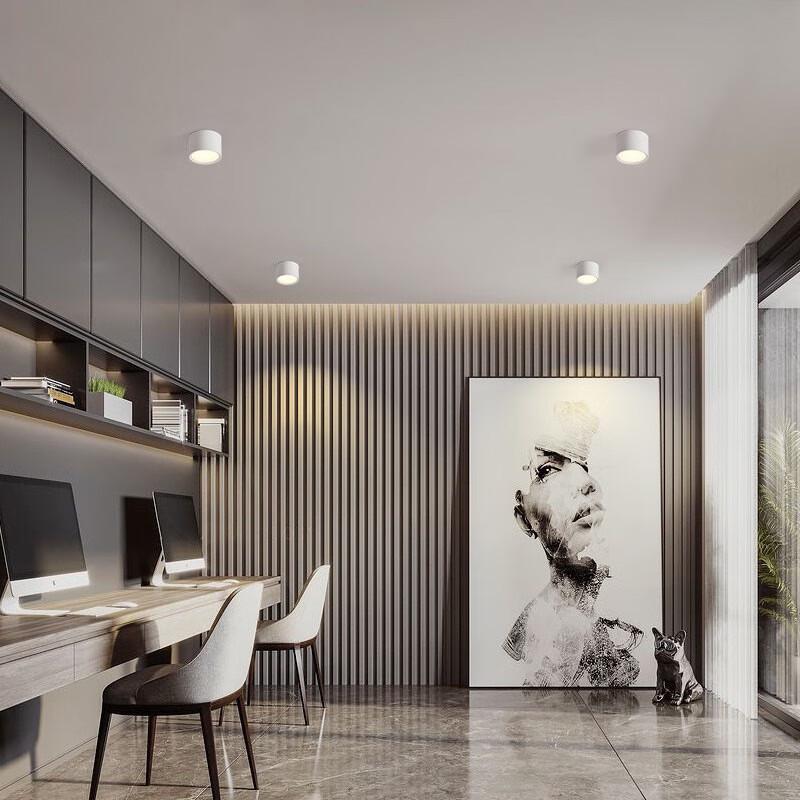 Zhaogang Baba LED Downlight Natynkowy