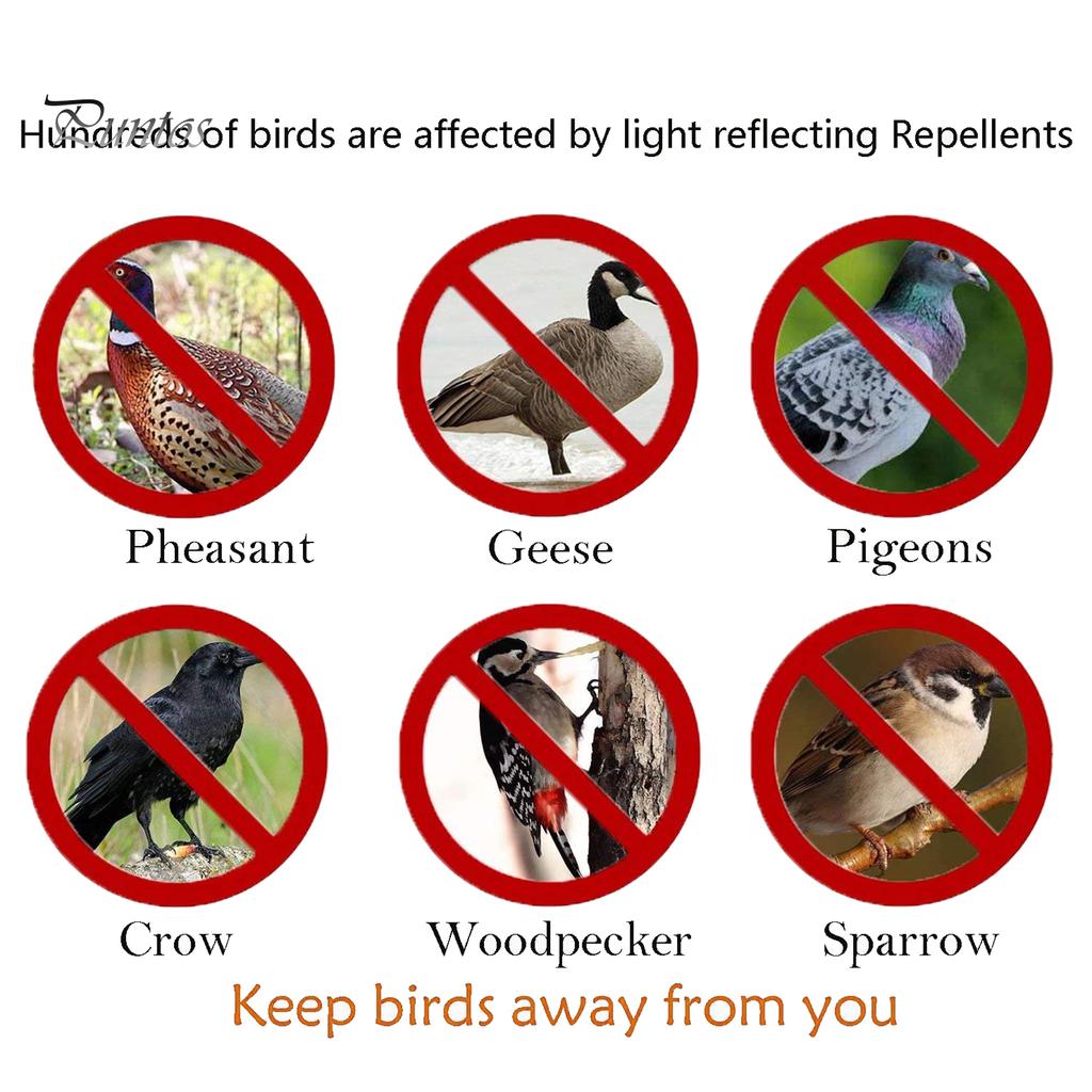 Puntos 2 pezzi dispositivo repellente per uccelli gufo riflettori frutteto balcone decorazione giardino