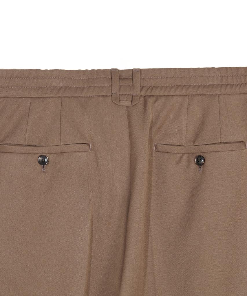 ZNO Beige Wool Single-Pleat Pants