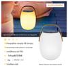 Pailide Solar Outdoor Garden & Camping Lantern