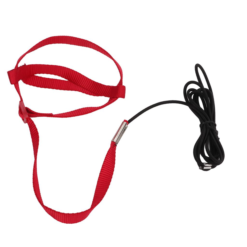 Bird Leash Bite Resistant Adjustable Parrot Flying Training Rope for Walking Attending PartyRed S
