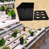 Indoor Hydroponics Growing System 6-Holes Growing Box System Garden Cultivation Box For Vegetables Flowers Fruits Indoor Outdoor
