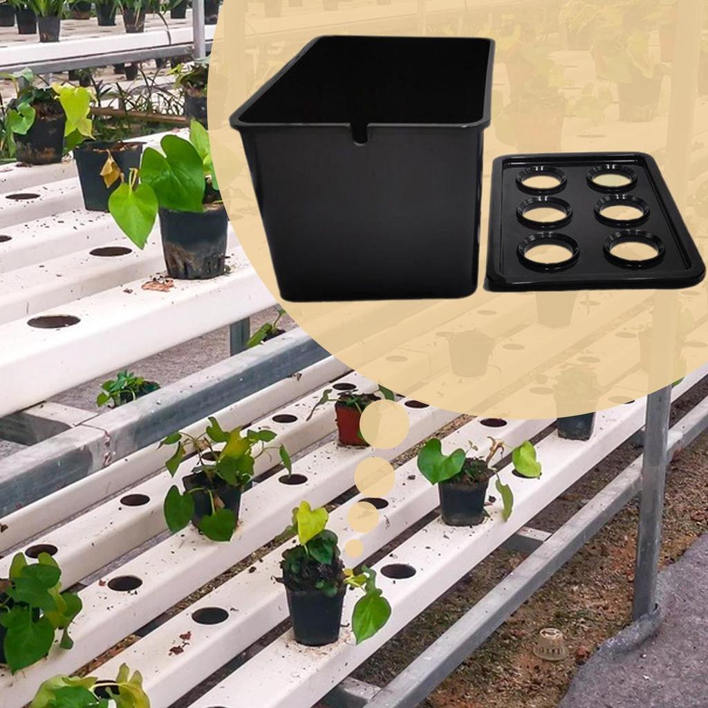 Indoor Hydroponics Growing System 6-Holes Growing Box System Garden Cultivation Box For Vegetables Flowers Fruits Indoor Outdoor