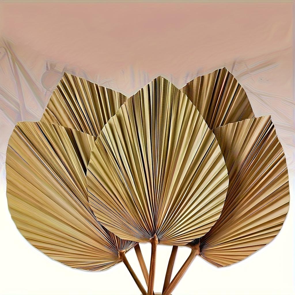 Abanico de hoja tropical bohemio, con tallos de flores, adecuado para jarrones, grandes decoraciones de boda bohemias, decoración del hogar, aniversarios