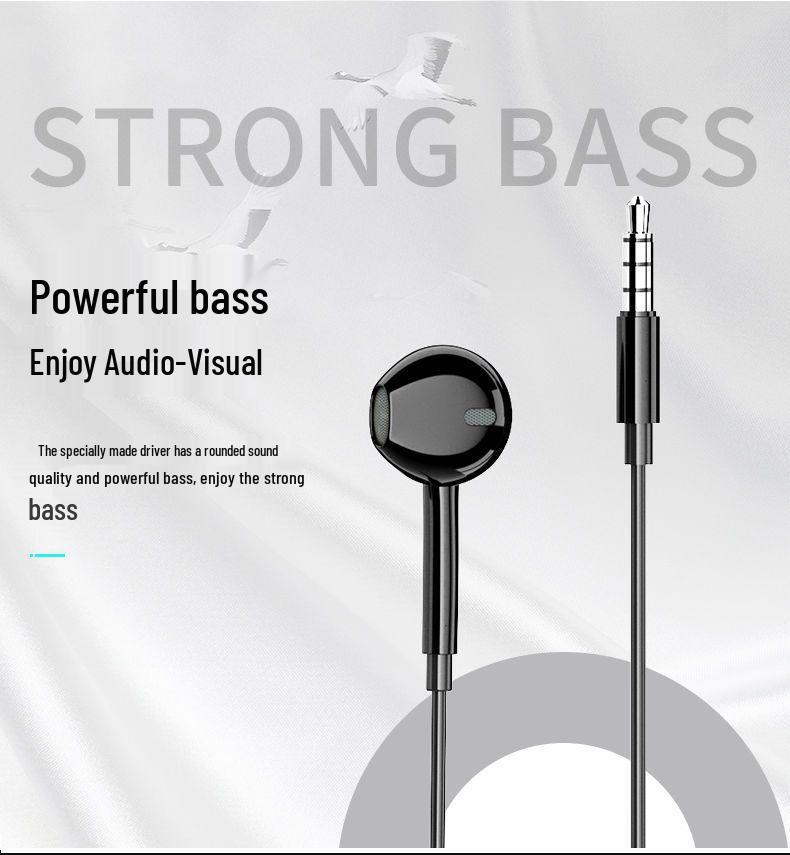 Wired In-Ear Computer Headphones with Microphone and 2-3 Meter Extension Cable, Dual Plug for Live Monitoring.