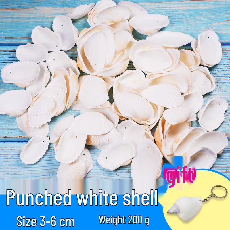Handmade Decorative Seashells & Starfish for Fish Tanks: Landscaping, Painting, Specimens, Whelks, Hermit Crabs