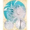 Fascinators Hat for Women Tea Party Funeral Veil Mesh Hats Wedding Lace Gloves Set for Cocktail First Communion
