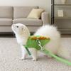 Cartoon Ferret Vest Harness Dragon Design Guinea Pig Safety Vest Cute Hamster Chest Strap  Walking