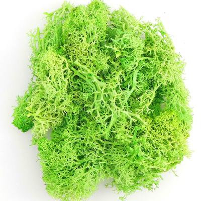Planta artificial vida eterna musgo flor falsa musgo grama casa sala de estar parede decorativa acessórios para plantas faça você mesmo