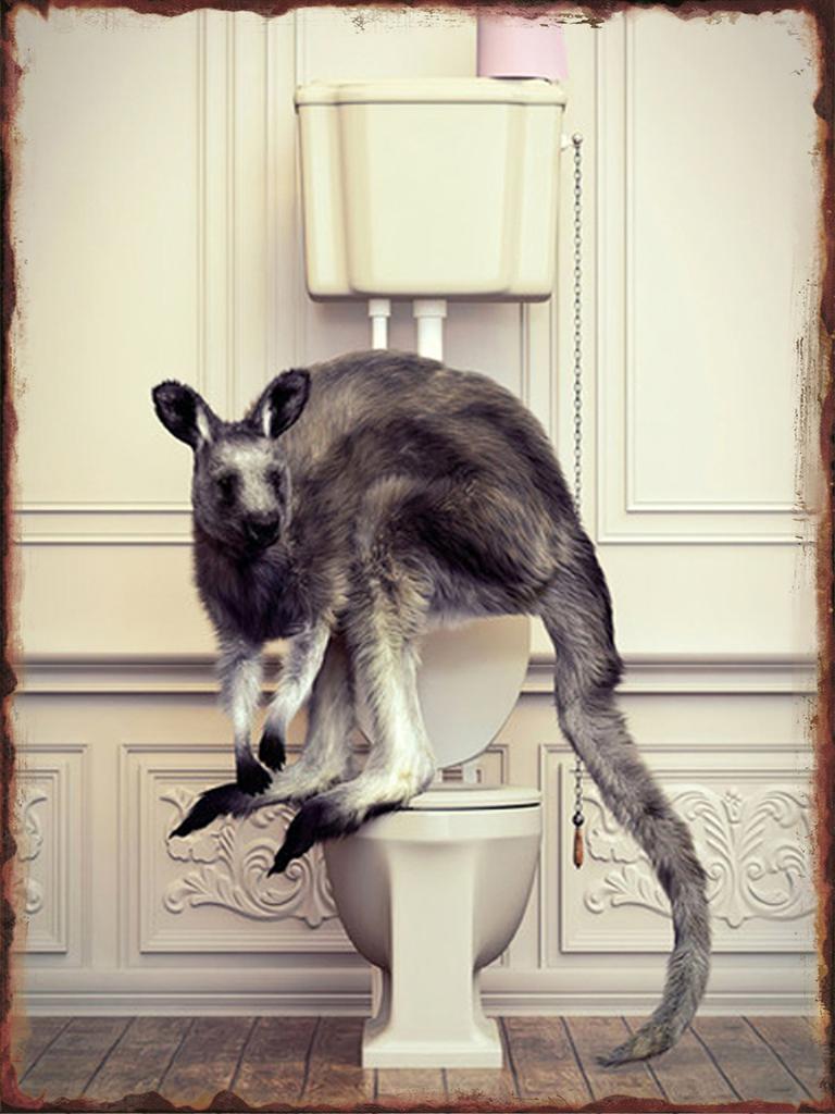 Toilet Animal Funny Metal Tin Signs Home Bathroom Wall Art Decoration Public Lavatory Plaques Restroom Plate Background Poster