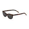 Saint Laurent Oval Sunglasses In Havana Gray Unisex Sunglasses 862898Y99562359