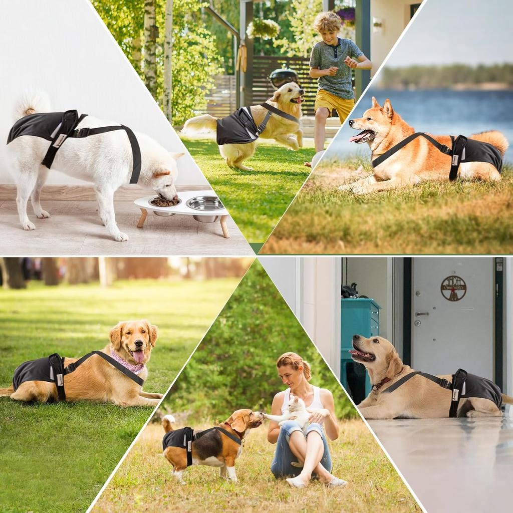 Dog Diapers Female, 3 Pack Puppy Diapers Female, Washable Reble Dog Diapers with Suspender for Peeing for Small Medium Large Female Dog in Heat Cycle