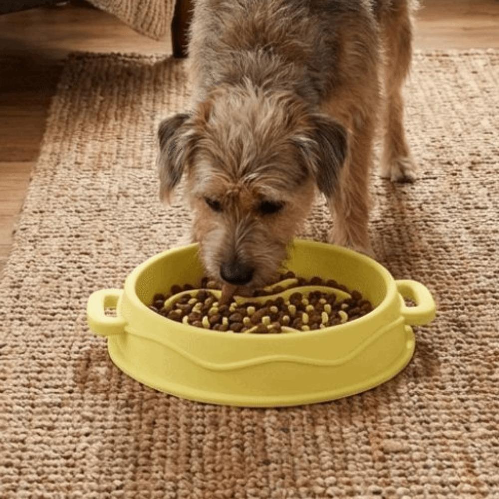 Silicone Dog Slow Feeder Bowl Non-Slip Dog Treat Bowl Colorful Pet Food Dish  Pet Enrichment