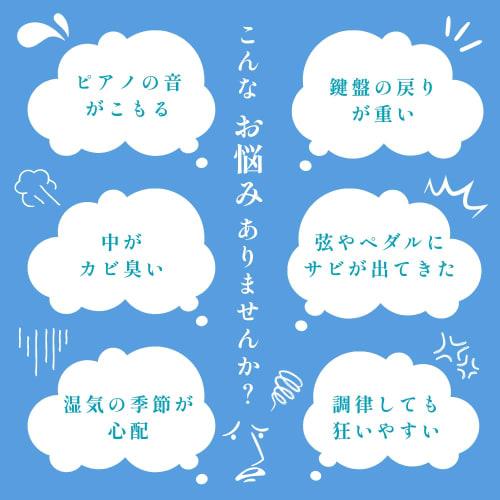 Made in Japan/Desiccant] Piano Humidity Regulator (Piano Specialty Store) [Humidity Control/Rust Prevention] (Set of 2)