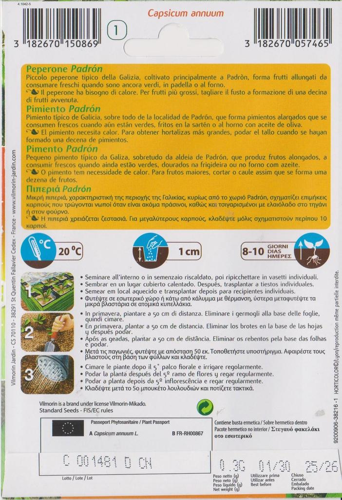 Semillas de Pimiento de Padrón