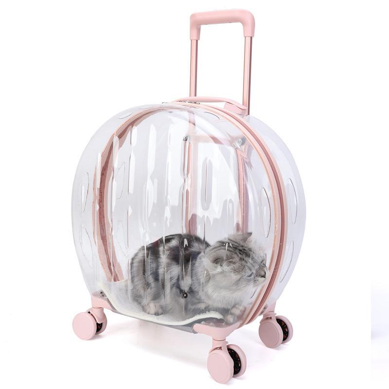 Valise transparente pour animaux de compagnie, grande capacité, valise de voyage pour chien, boîte à bulles Portable d'extérieur, boîte d'aviation