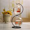 Stylish Iron Frame Glass Fish Tank & Hydroponic Vase for Desktop Decor