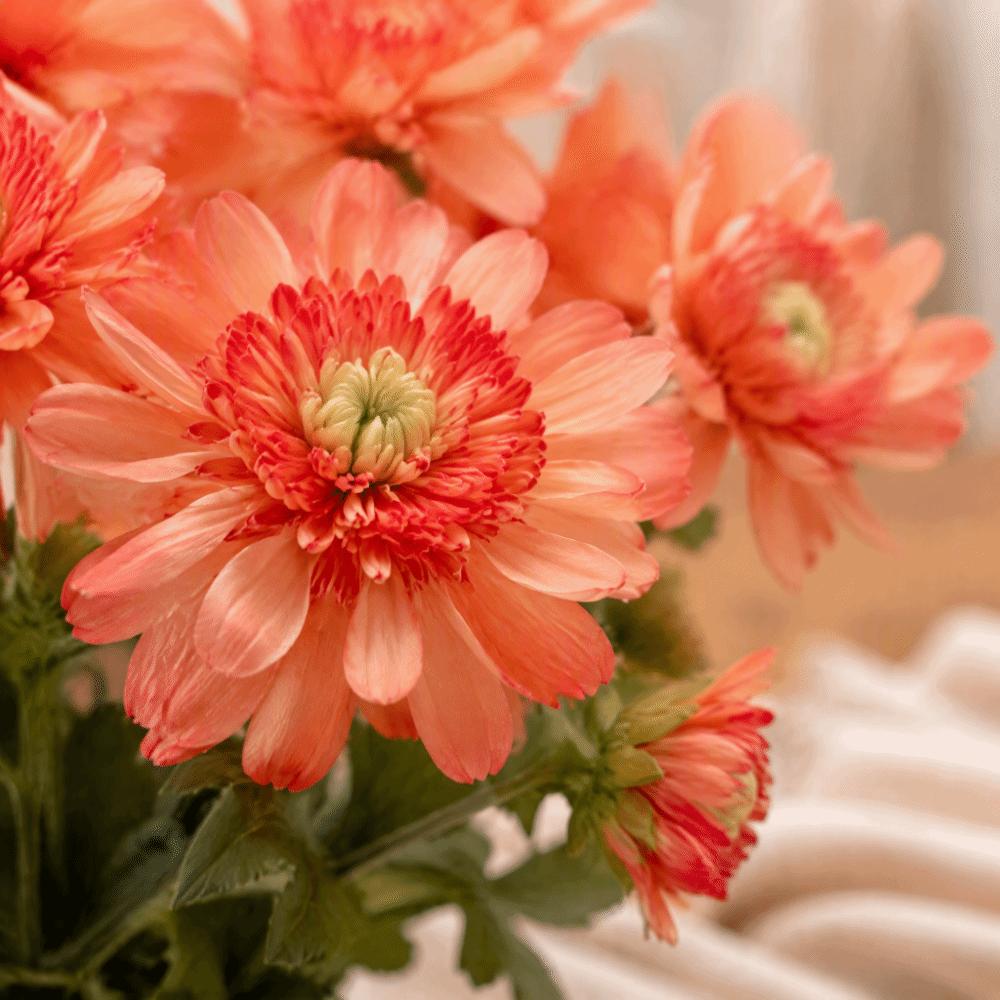 Stem Form Artificial Chrysanthemum With Buds Floral Decor Artificial DIY Gift  Indoor Room