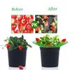 1-3Pcs Green Fruit Plant Support System for Strawberry And Watermelon Easy Setup Garden Protector for Balcony And Raised Bed