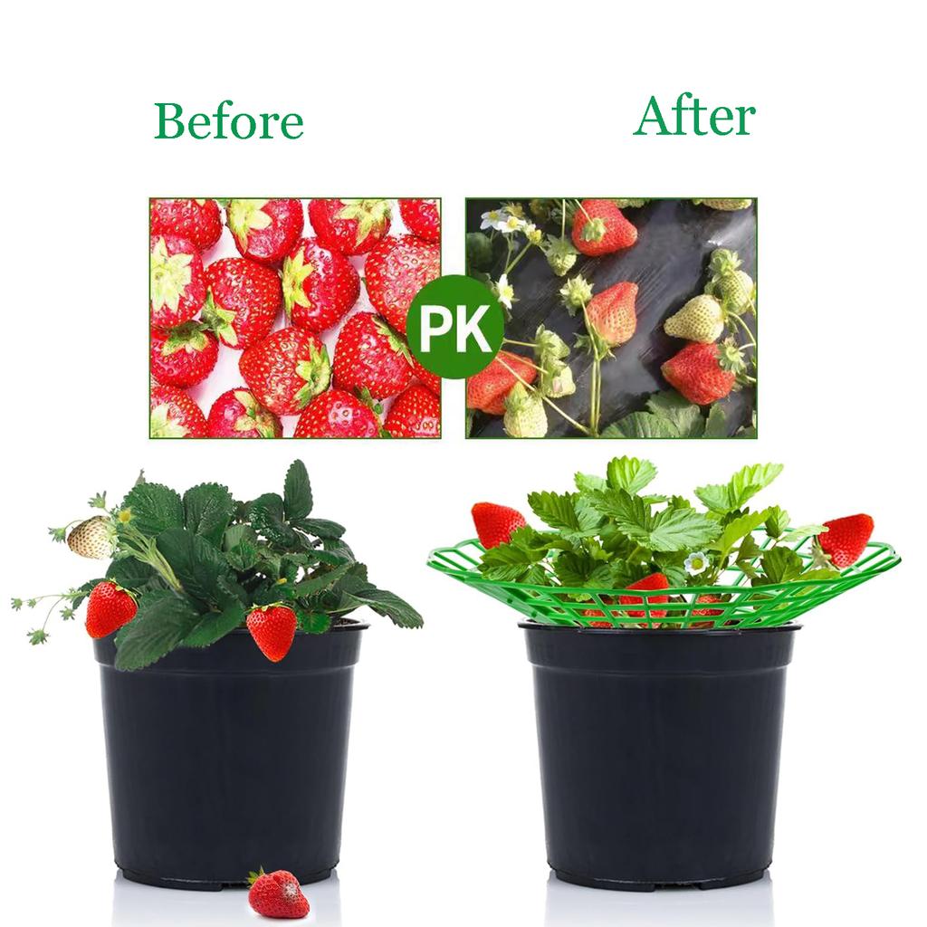 1-3Pcs Green Fruit Plant Support System for Strawberry And Watermelon Easy Setup Garden Protector for Balcony And Raised Bed
