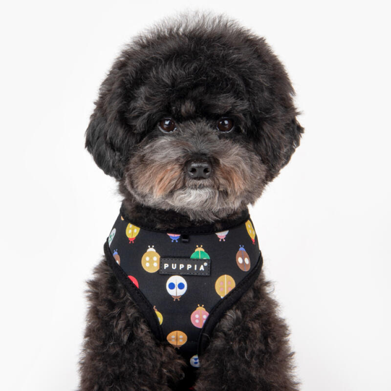 Ladybug Harness A SIZE M (PAWA-HA1957) black