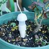 Sistema de Irrigação Autoirrigável, Dispositivo de Gotejamento para Plantas em Vaso, Ferramentas de Rega Automática para Flores, Kit de Infiltração de Água para Jardinagem Fácil e Preguiçosa