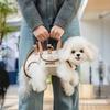 Tragbarer Doppel-Schulter-Hunde-Trage-Rucksack Atmungsaktiv Waschbar Haustier-Gurt-Artefakt Verstellbar Hunde-Ausflugs-Tasche Reisen