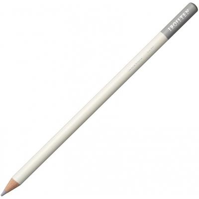 Dragonfly PenCils  Colored PenCils  Color Dictionary  Single Color  Ex10  Silver Mouse  Pack Of 6  Ci rEx10 6p Ex10 Silver Mouse