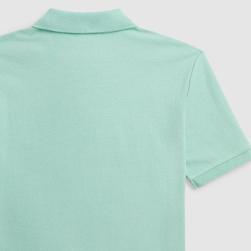 Polo Ralph Lauren Polo Shirt Ss24 Letter Crab Embroidery Casual Short Sleeve T-Shirt Kids Tops Celadon CWPOKNIY8021085-300